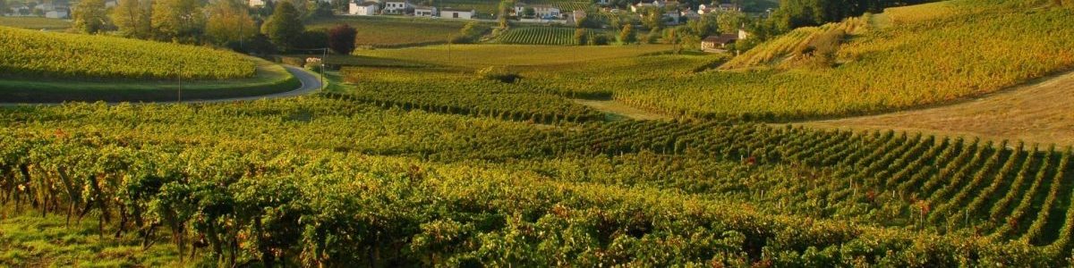 IMAGE_FRONSAC_01